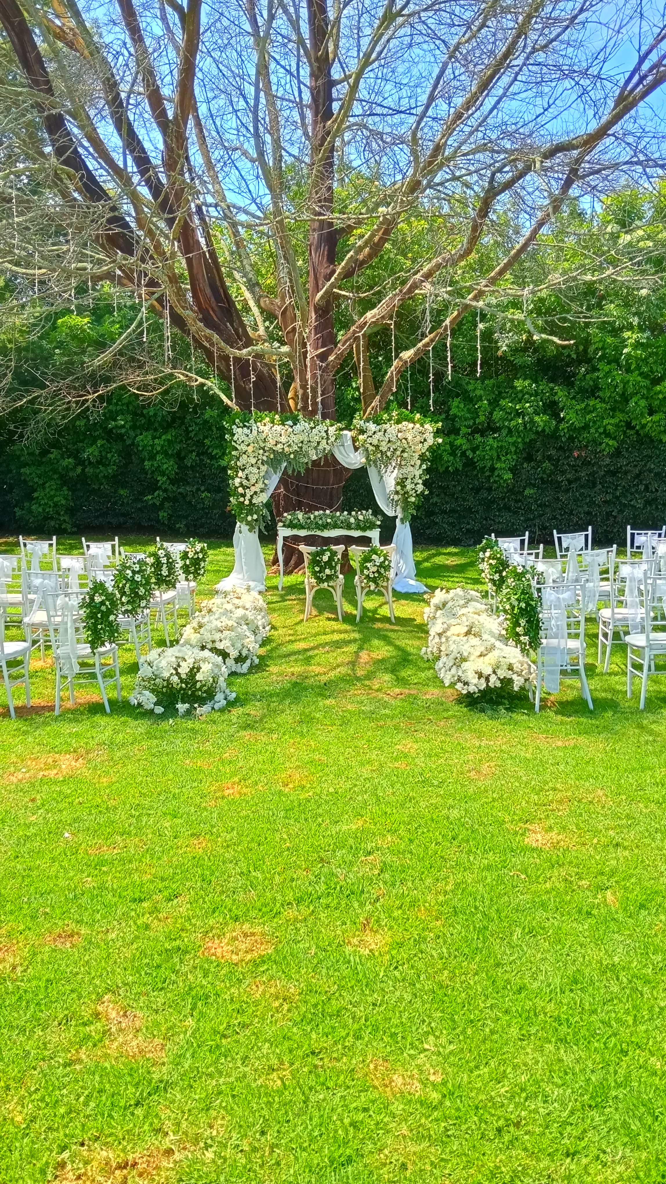Fondo floral principal